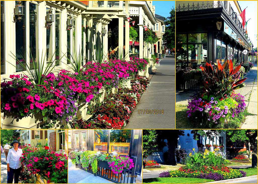 Photo Collage, Niagara-on-the-Lake flowers